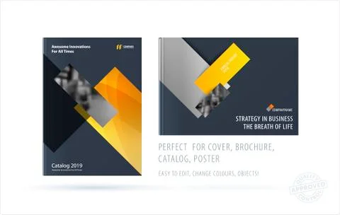 Brochure design rectangular template. Colourful modern abstract set, annual Stock Illustration