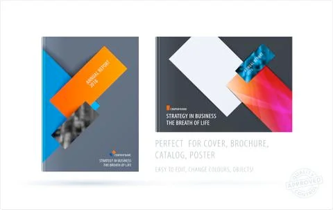Brochure design rectangular template. Colourful modern abstract set, annual Stock Illustration