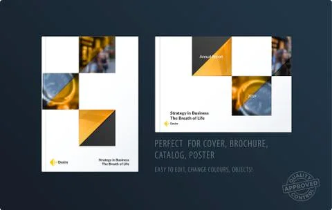 Brochure design rectangular template. Colourful modern abstract set, annual Stock Illustration