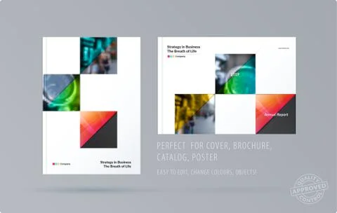 Brochure design rectangular template. Colourful modern abstract set, annual イラスト素材