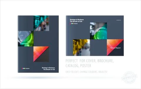 Brochure design rectangular template. Colourful modern abstract set, annual Illustrazione stock
