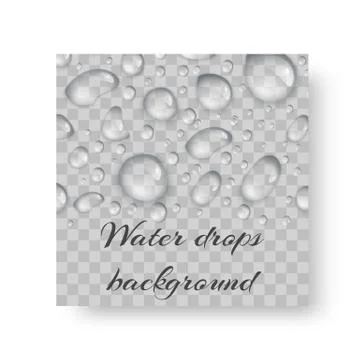 Brochure with drops of dew Stock Illustration