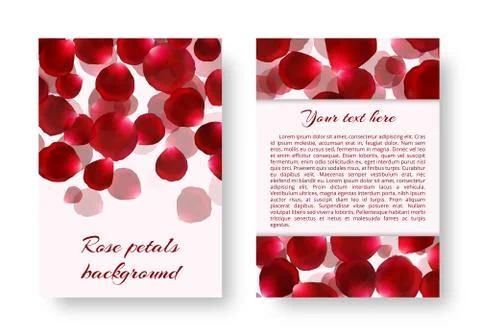 Brochure with rose petals Stock Illustration