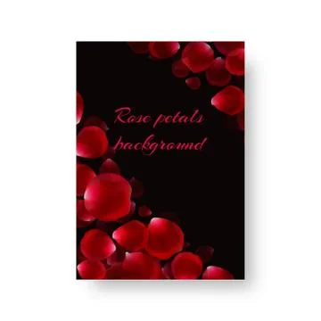 Brochure with rose petals Stock Illustration