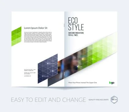 Brochure template layout, cover design annual report, magazine Stock Illustration