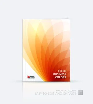 Brochure template layout, cover design annual report, magazine Stock Illustration