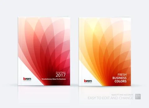 Brochure template layout, cover design annual report, magazine Stock Illustration