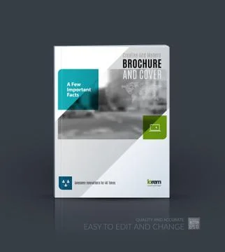 Brochure template layout, cover design annual report, magazine Stock Illustration