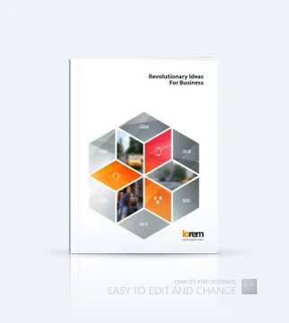 Brochure template layout, cover design annual report, magazine Stock Illustration