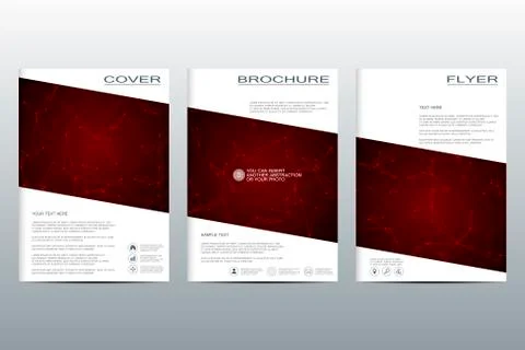Brochure template layout, flyer, cover, annual report, magazine in A4 size Stock Illustration