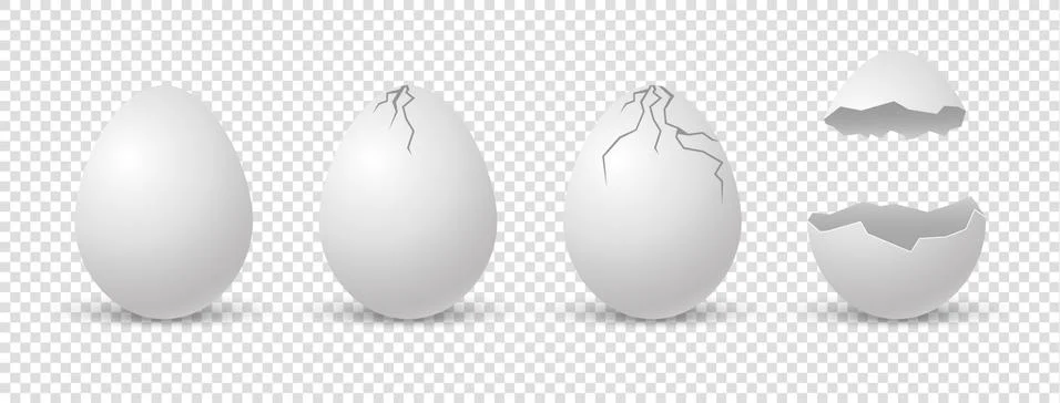 Brocken eggs. Crack eggshell. Vector realistic break white shell on transparent Stock Illustration