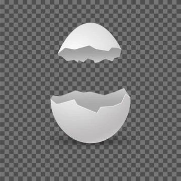 Brocken eggs. Crack eggshell. Vector realistic break white shell on transparent Stock Illustration