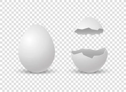 Brocken eggs. Crack eggshell. Vector realistic break white shell on transparent Stock Illustration