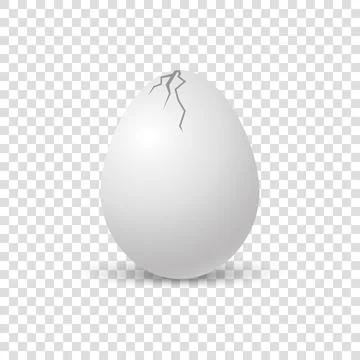 Brocken eggs. Crack eggshell. Vector realistic break white shell on transparent Stock Illustration