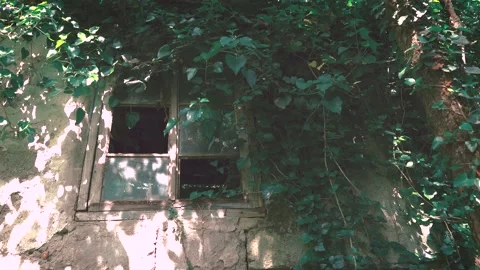 Brocken Window Stock Footage 130716218