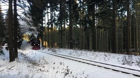 Brockenbahn HSB Vídeos de archivo 76806343