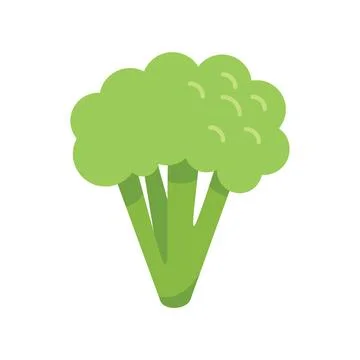 Brocoli bunch icon flat vector. Cabbage vegetable Ilustración de archivo