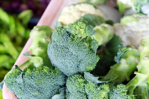 Brocoli Stock Photos