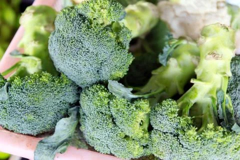 Brocoli Stock Photos