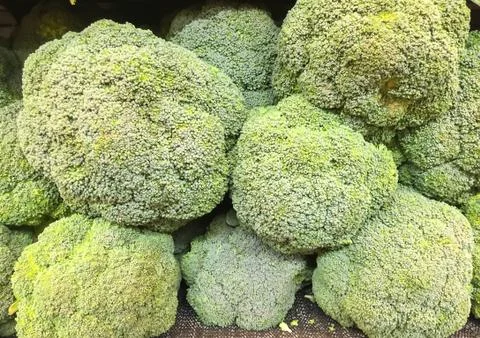 Brocoli Stock Photos