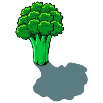 Brocolli Stock Illustration