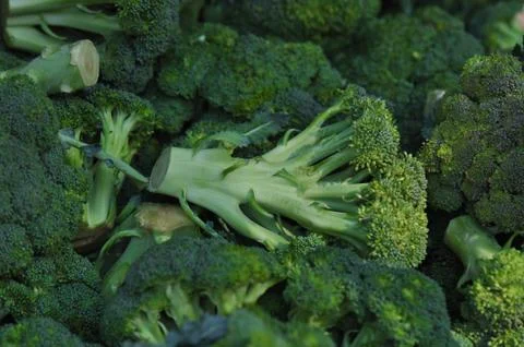 Brocolli Stock-Fotos