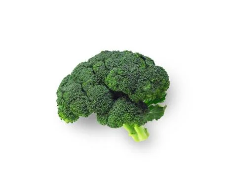 Brocolli shaped like brain isolated Stock Photos