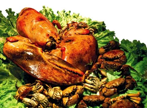 Broiled lobster Stock Photos