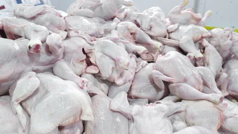 Broiler chicken carcasses on the cutting table Stock-Footage 165189226