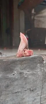 Broilers Stock Photos