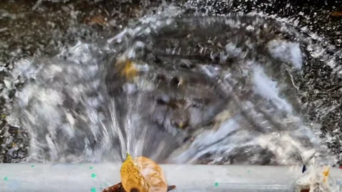 Broken and leaking water pipe spraying fresh water outdoors with a stuck autumn Stock Footage 339391502