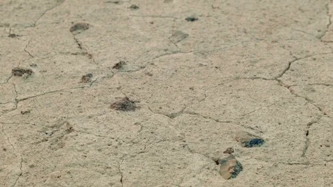 Broken arrowhead obsidian flakes and glass ancient and modern desert Roadside Video stock 81603974