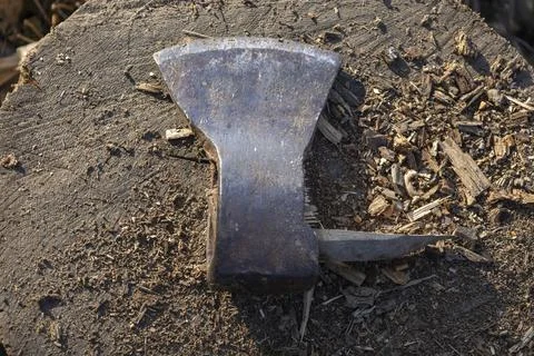A broken ax lies on a tree Stock Photos