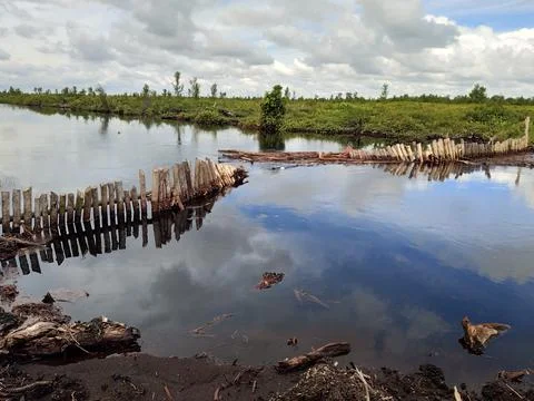 The broken barrier river Stock Photos