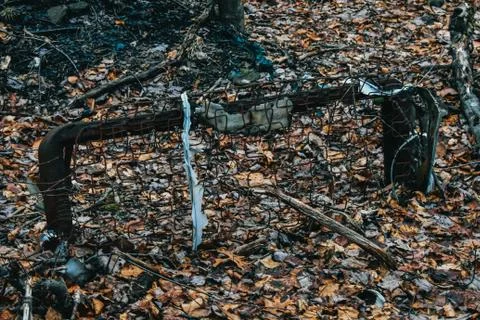 A Broken Bed Frame Left in the Autumn Forest Stock Photos