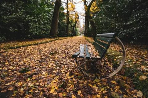 Broken bench in a garden Stock Photos
