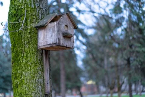 Broken birdhouse mounted on a tree Stock Photos