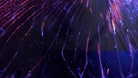 Broken black tablet screen backlit with blue and red lights. Close-up. Stock Footage 162372606