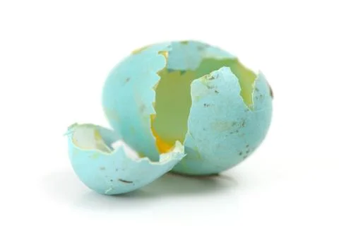 Broken blue eggs Stock Photos
