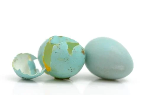 Broken blue eggs Foto stock