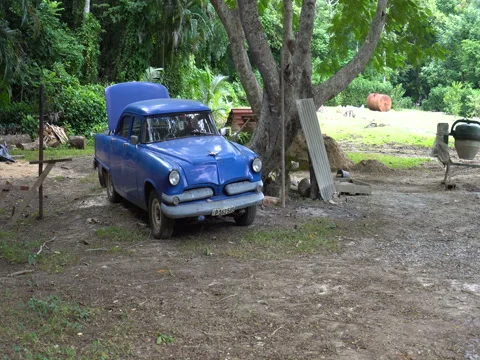 Broken blue retro car on the open air yard in tropical jungle Stock Footage 71447549