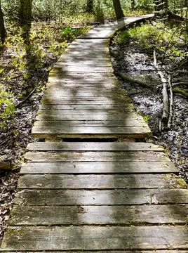 Broken Boardwalk 库存照片