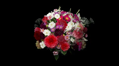 Broken bouquet Stock Footage 29834896