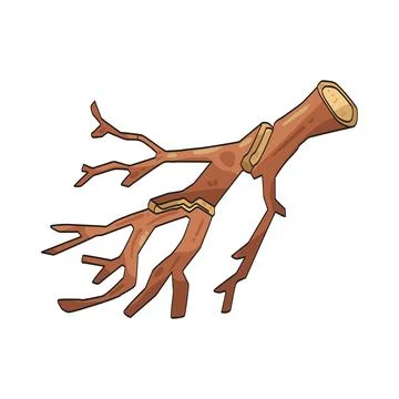 Broken branch illustration Stock Illustration