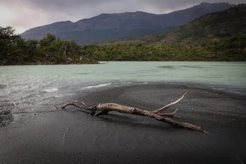 Broken branch on the sand. Stock Photos