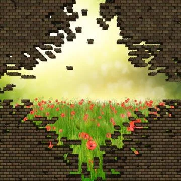 Broken brick wall and grass field Stock Illustration