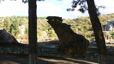 Broken brick wall and trees in an archaeological park Stock Footage 77451872