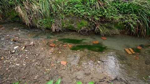Broken Bricks and Debris in a Flowing Brook Stock Footage 304764571