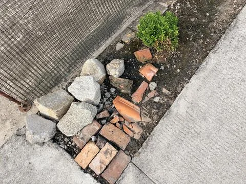 Broken Bricks and Rocks on Urban Sidewalk with Small Green Bush Stock Photos