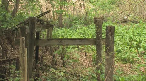 Broken Bridge Stock Footage 10797760